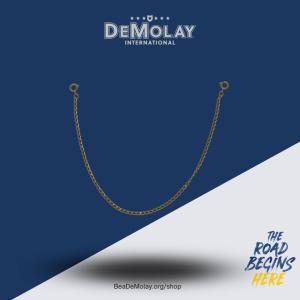 Collar Preventer Chain - Gold Small